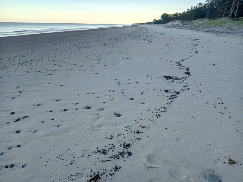 Ventspils novada pašvaldība informē, ka Ventspils novada piekrastē ir konstatēts jūras izskalots naftas piesārņojums.