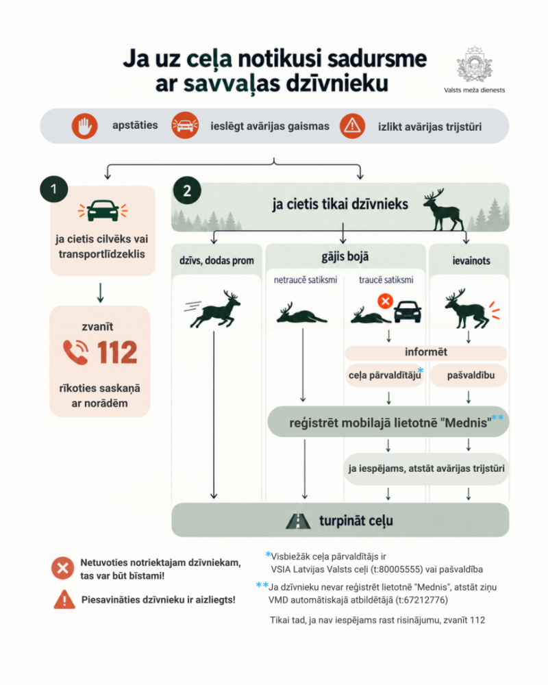 Ja uz ceļa notikusi sadursme ar savvaļas dzīvnieku
