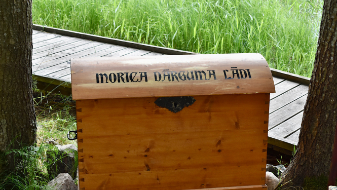 Koka lāde