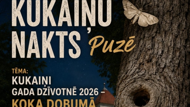 Puzē notiks kukaiņu nakts