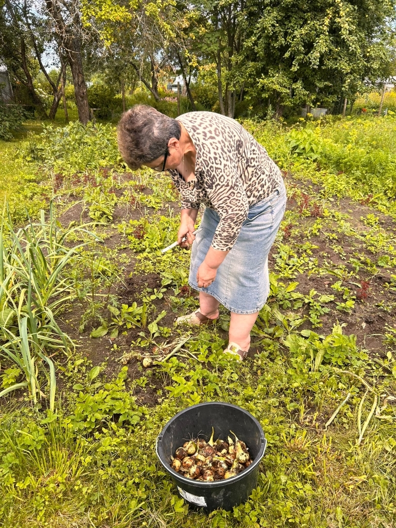 Ventspils novadā, Ugālē, Rūpnīcas ielā 6, turpina darboties projekts “Sabiedrībā balstītu sociālo pakalpojumu pieejamības palielināšana Ventspils novadā”