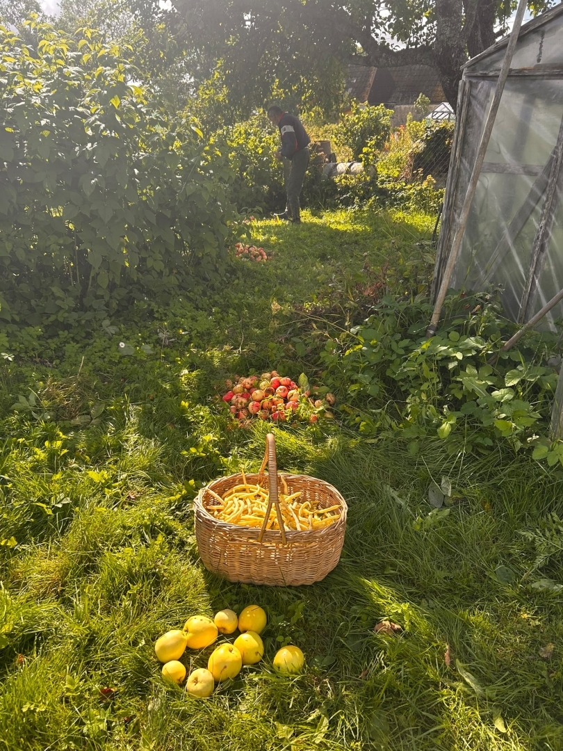 Ventspils novadā, Ugālē, Rūpnīcas ielā 6, turpina darboties projekts “Sabiedrībā balstītu sociālo pakalpojumu pieejamības palielināšana Ventspils novadā”