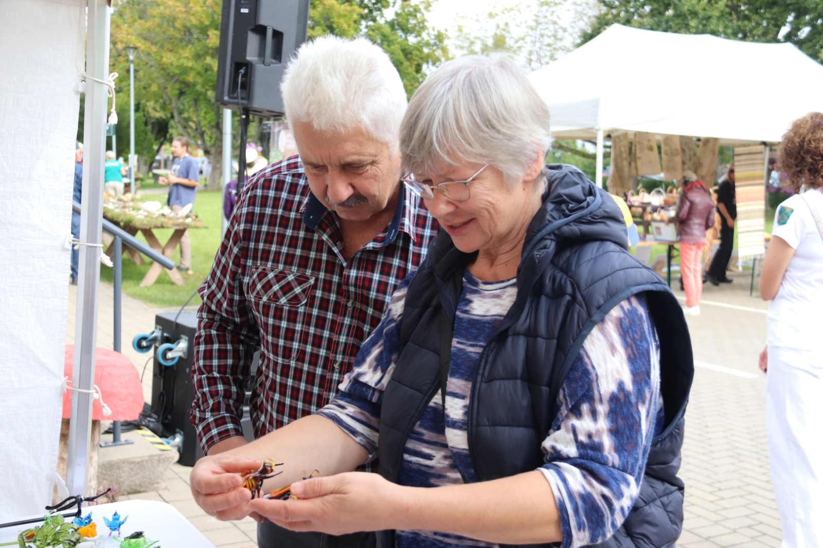 Zirās nosvin trešo Sēņu festivālu