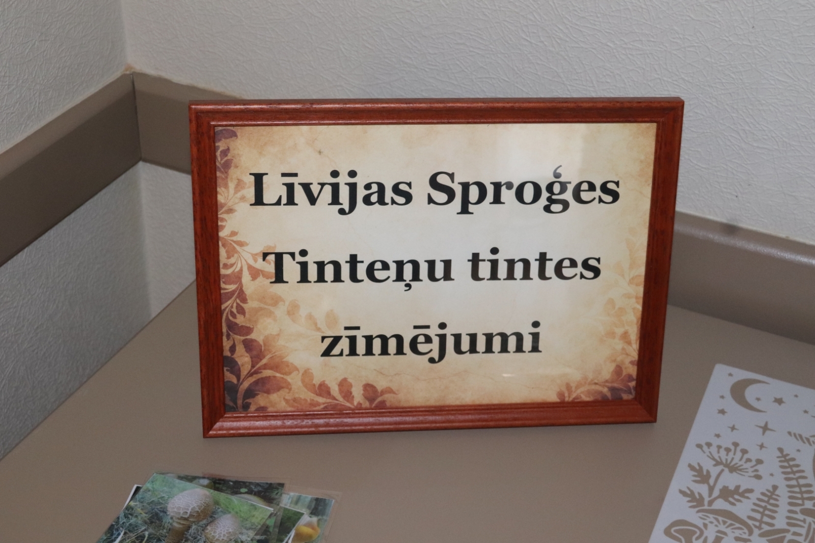 Zirās valda rosība – norisinās trešais Sēņu festivāls