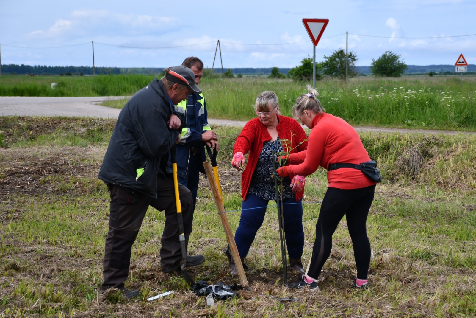 Zirās stāda valriekstus