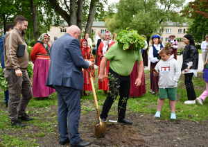 Tiek stādīts pīlādzis