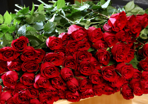 Sarkanas rozes