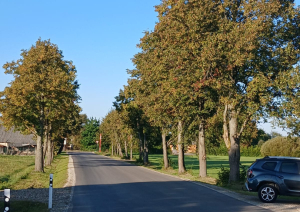 Pabeigta pašvaldības autoceļa pārbūve uzņēmējdarbības attīstībai  