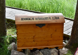 Koka lāde