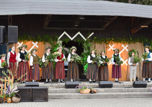 Dzied folkloras kopa
