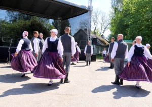 Dejo tautas deju kolektīvs