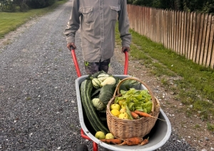 Ventspils novadā, Ugālē, Rūpnīcas ielā 6, turpina darboties projekts “Sabiedrībā balstītu sociālo pakalpojumu pieejamības palielināšana Ventspils novadā”