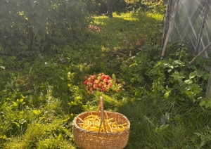 Ventspils novadā, Ugālē, Rūpnīcas ielā 6, turpina darboties projekts “Sabiedrībā balstītu sociālo pakalpojumu pieejamības palielināšana Ventspils novadā”