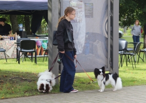 Zirās nosvin trešo Sēņu festivālu