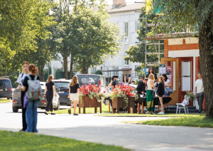 Pie Piltenes kultūras nama valda rosība