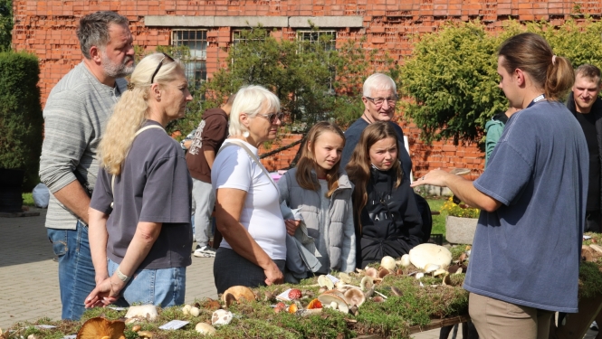 Zirās valda rosība – cilvēki bauda Sēņu festivāla piedāvājumu