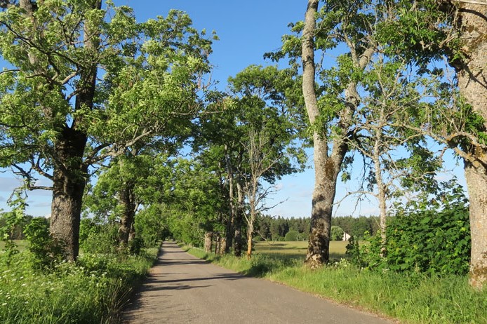 Puzenieku aleja