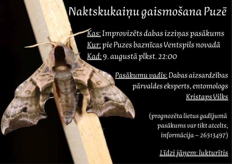 Naktskukaiņu gaismošana Puzē notiks 9. augustā