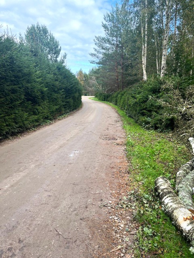 Miķeļtorņa ceļš