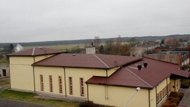 Ances kultūras nama jumts