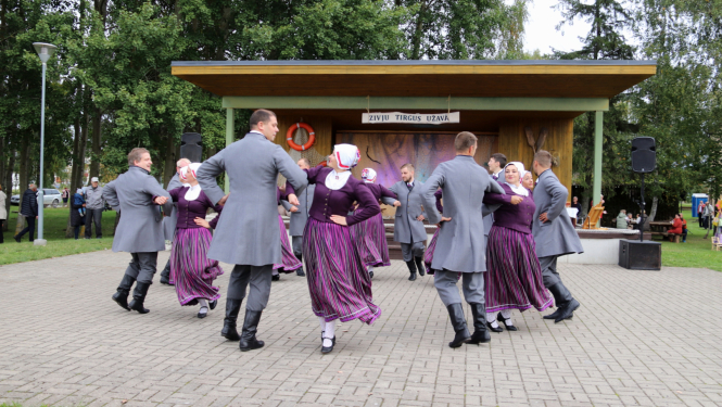 Dejo tautas deju kolektīvs