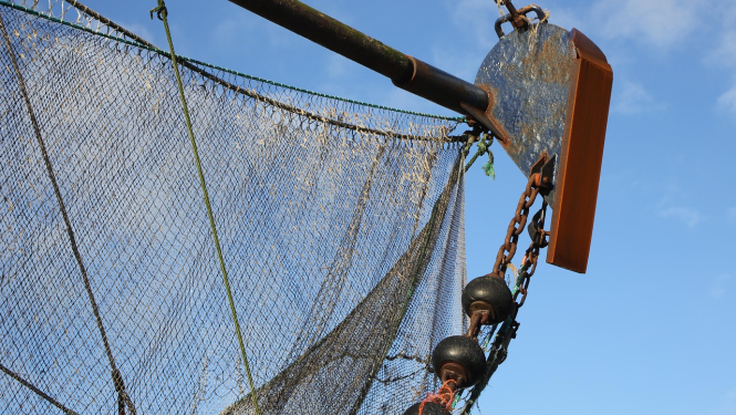 Notiks izsole zvejniekiem