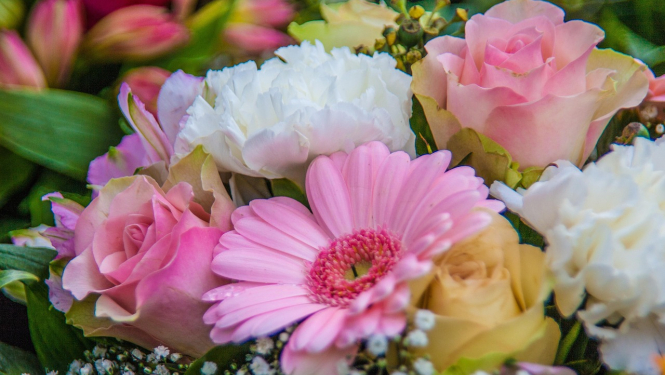 Sveicam senioru dienā