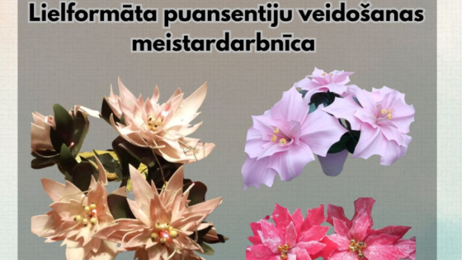 Puzē notiks lielformāta puķu darbnīca