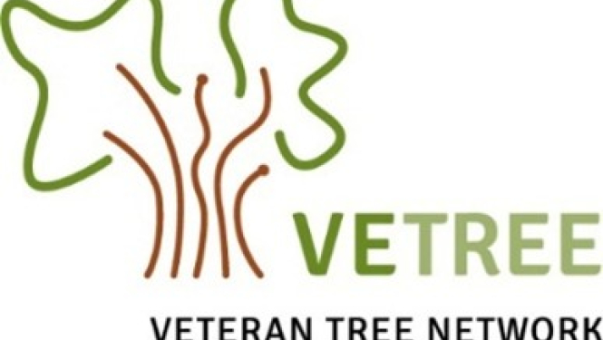 VetTree logo