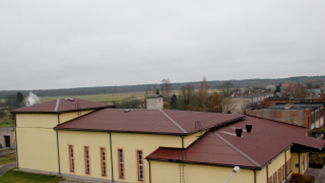 Ances kultūras nama jumts