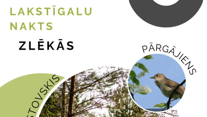 Zlēkās notiks Laktīgalu nakts pārgājiens