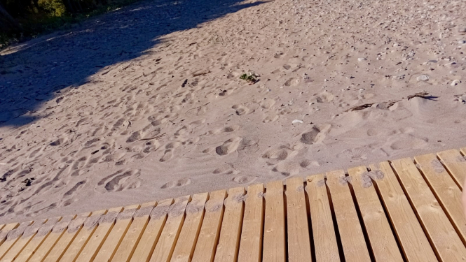 Piekrastē uzstādīts koka vairogs