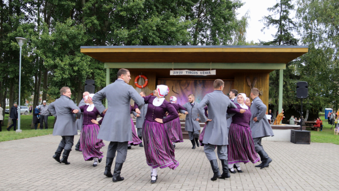 Dejo tautas deju kolektīvs