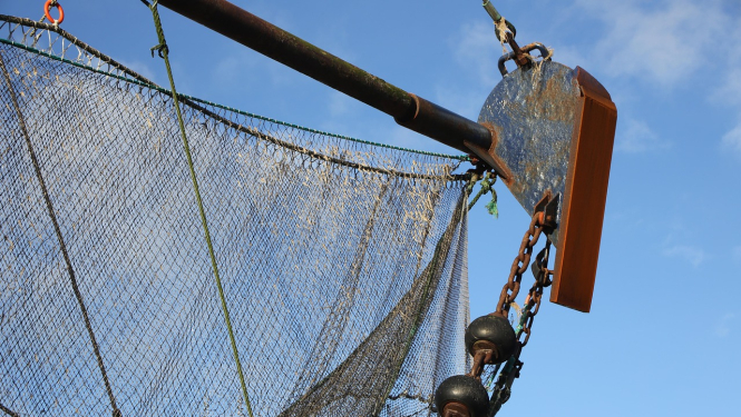 Notiks izsole zvejniekiem