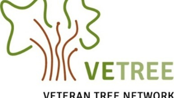 VetTree logo