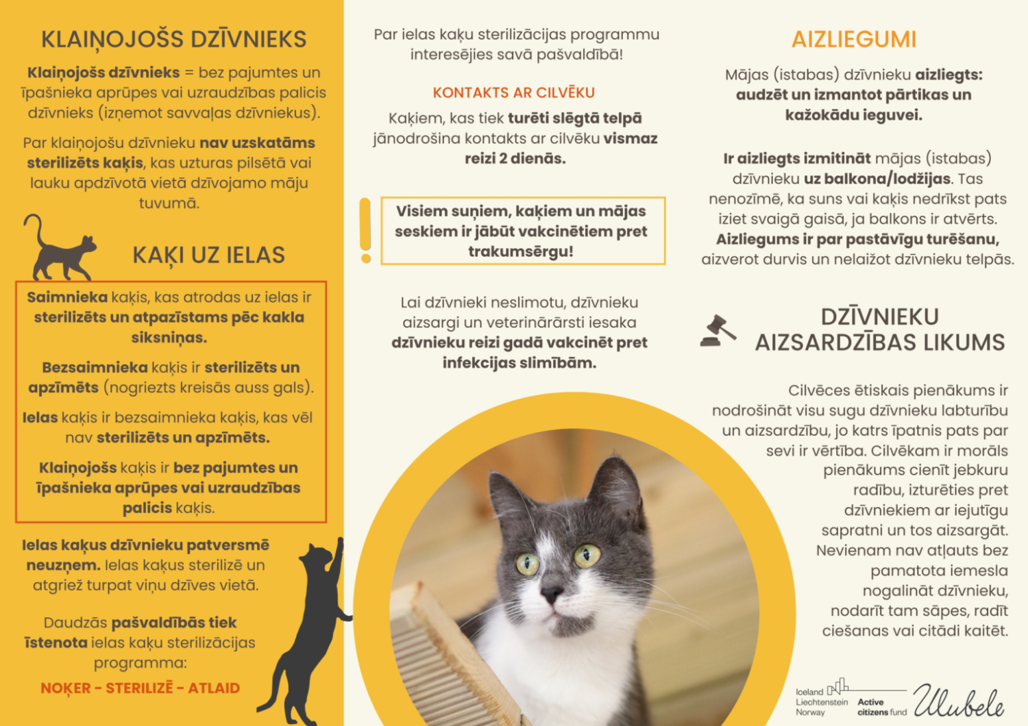 Suņu un kaķu labturības ABC vizuālis