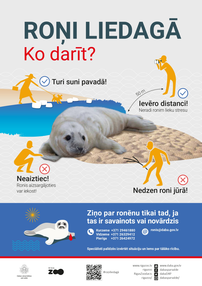 Paziņojuma vizuālis