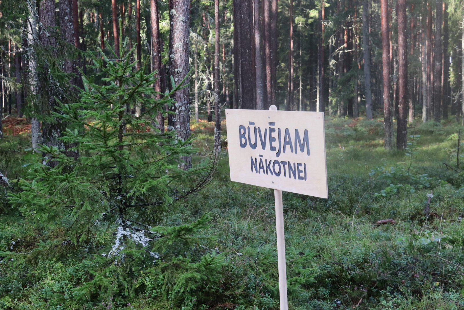 Mežā tika piedāvātas stacijas, kurās jāpilda uzdevumi