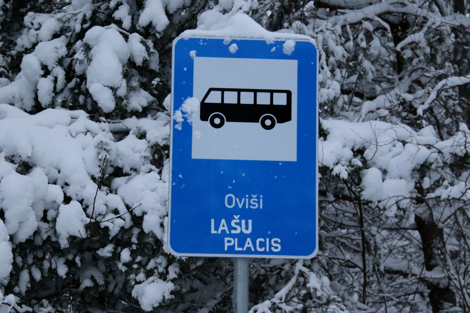 Ovišu Lašu plača pietura