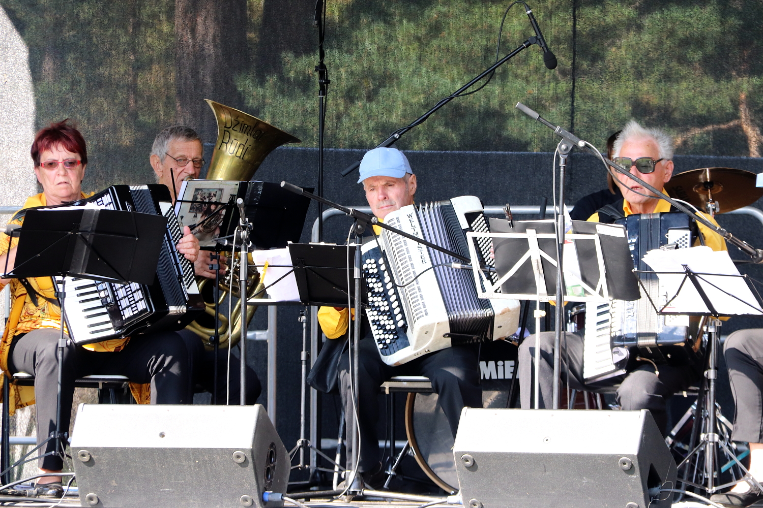 Muzikāls priekšnesums