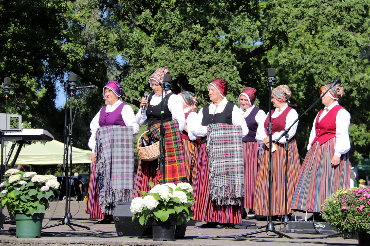 Dzied folkloras kopas
