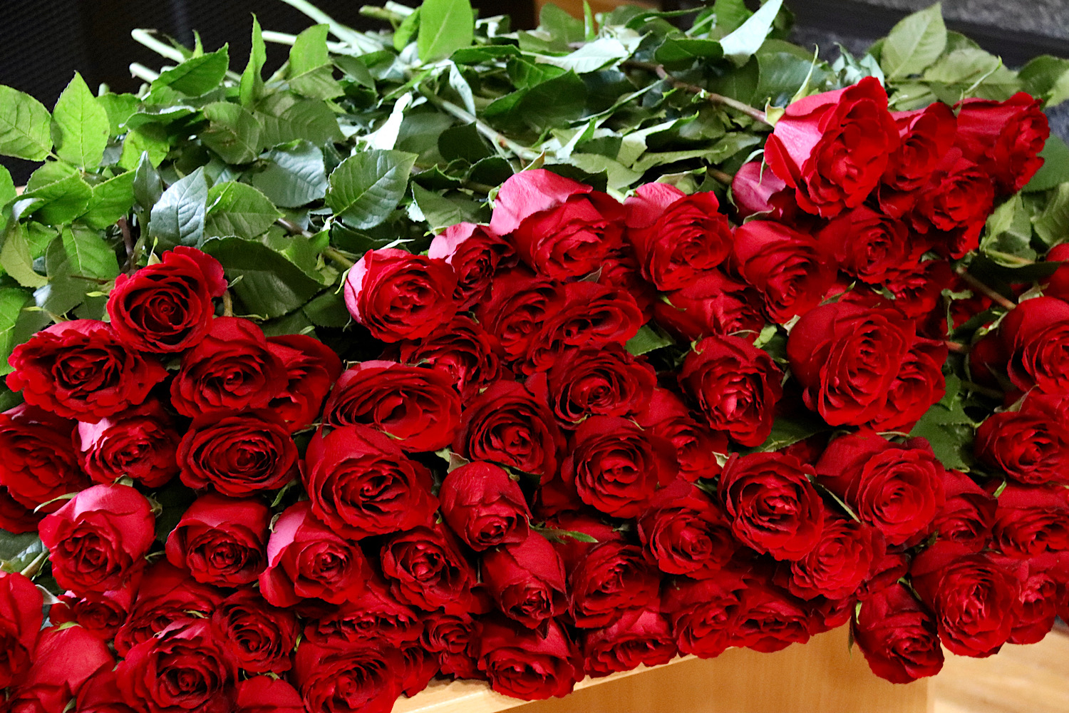 Sarkanas rozes