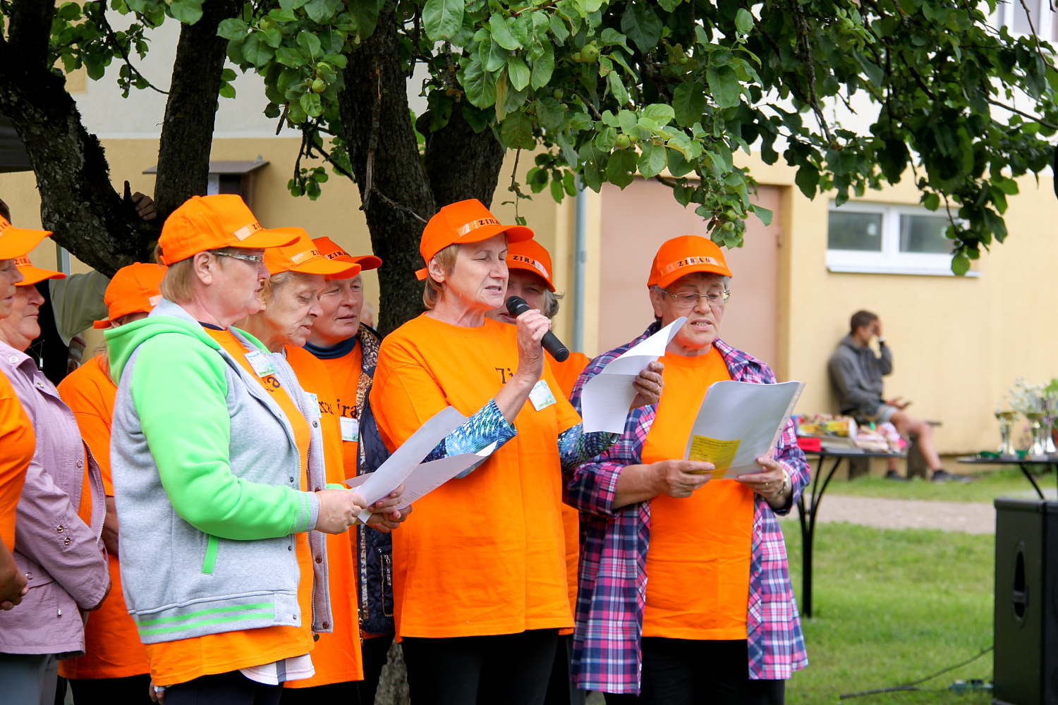 Dažādas senioru aktivitātes