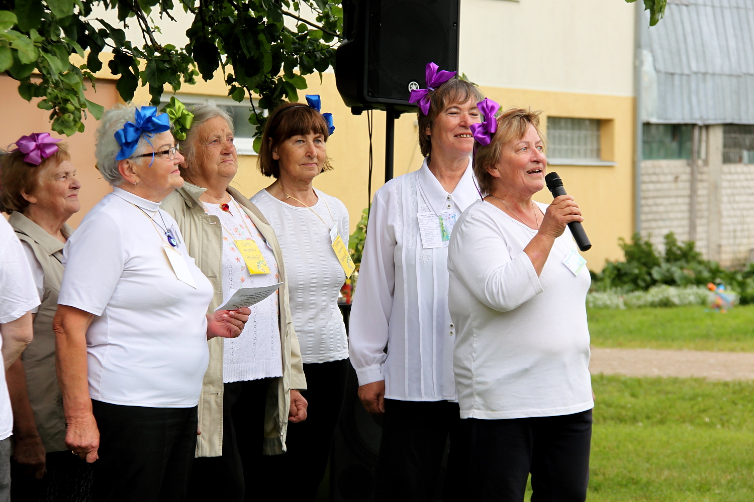 Dažādas senioru aktivitātes