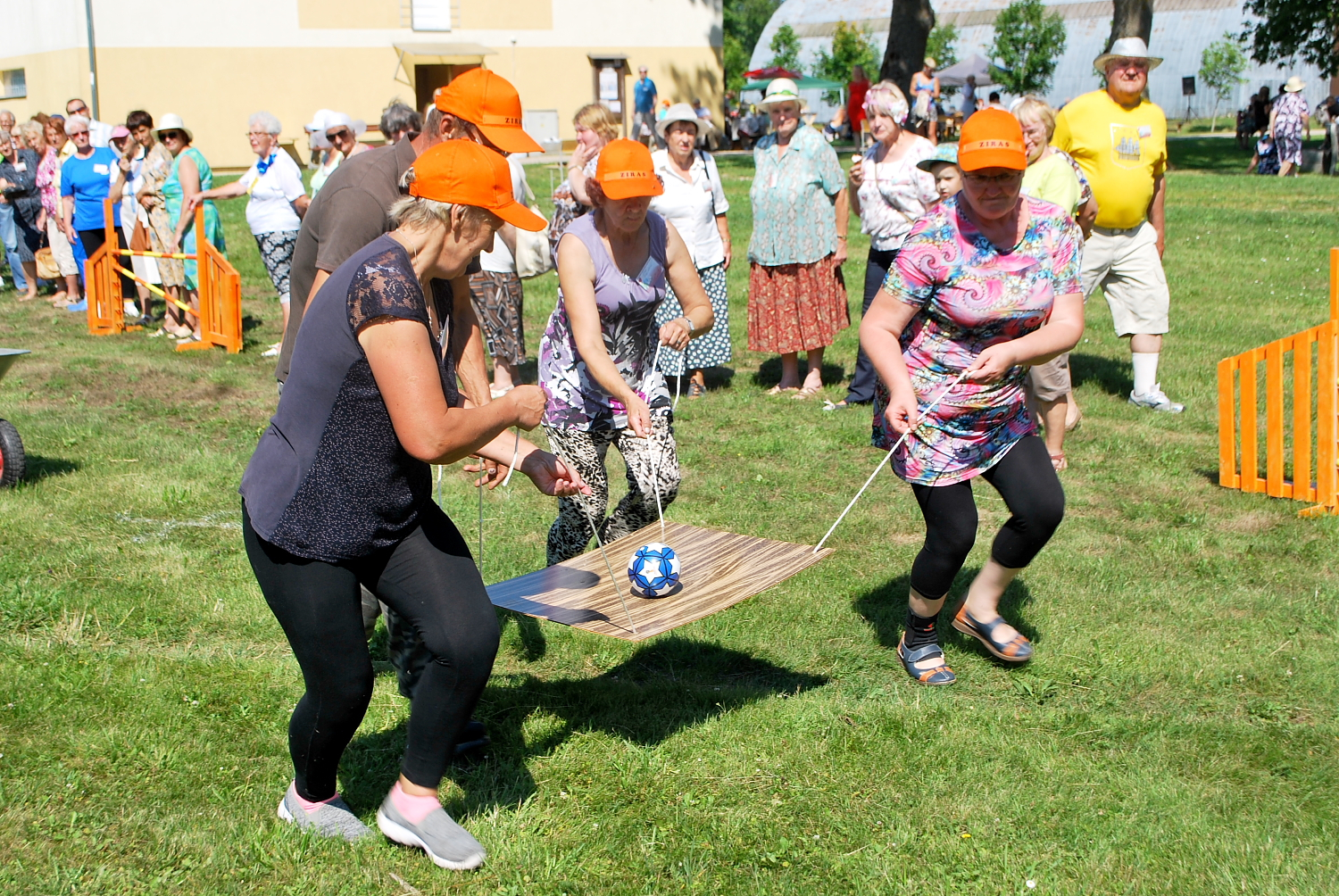 Dažādas senioru aktivitātes