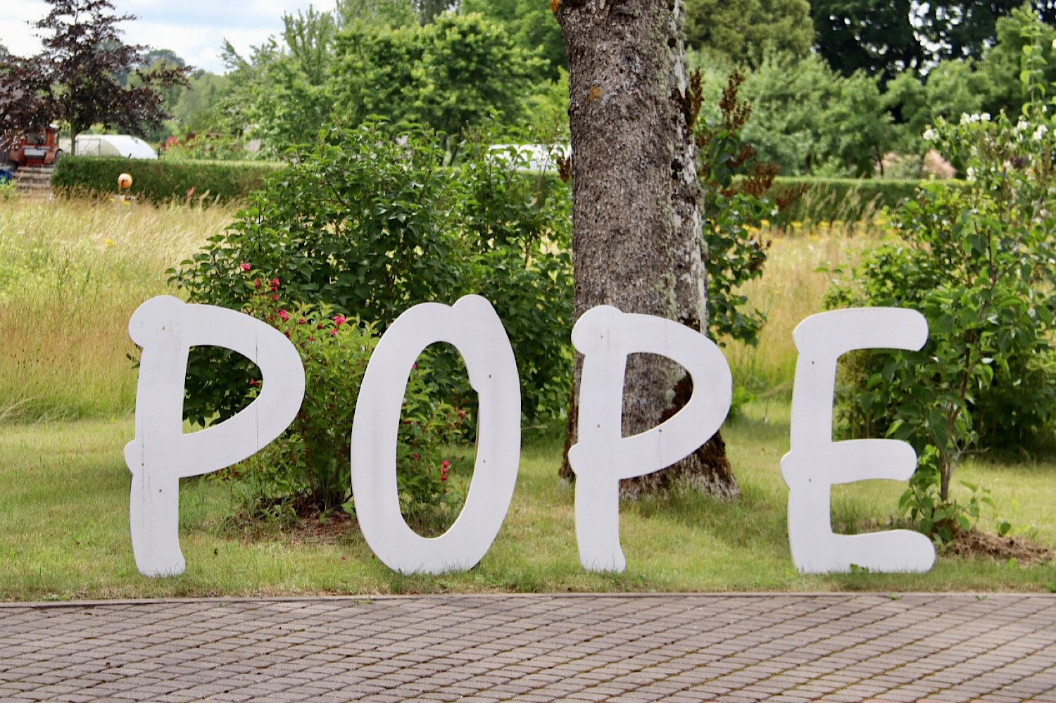 Popes burti