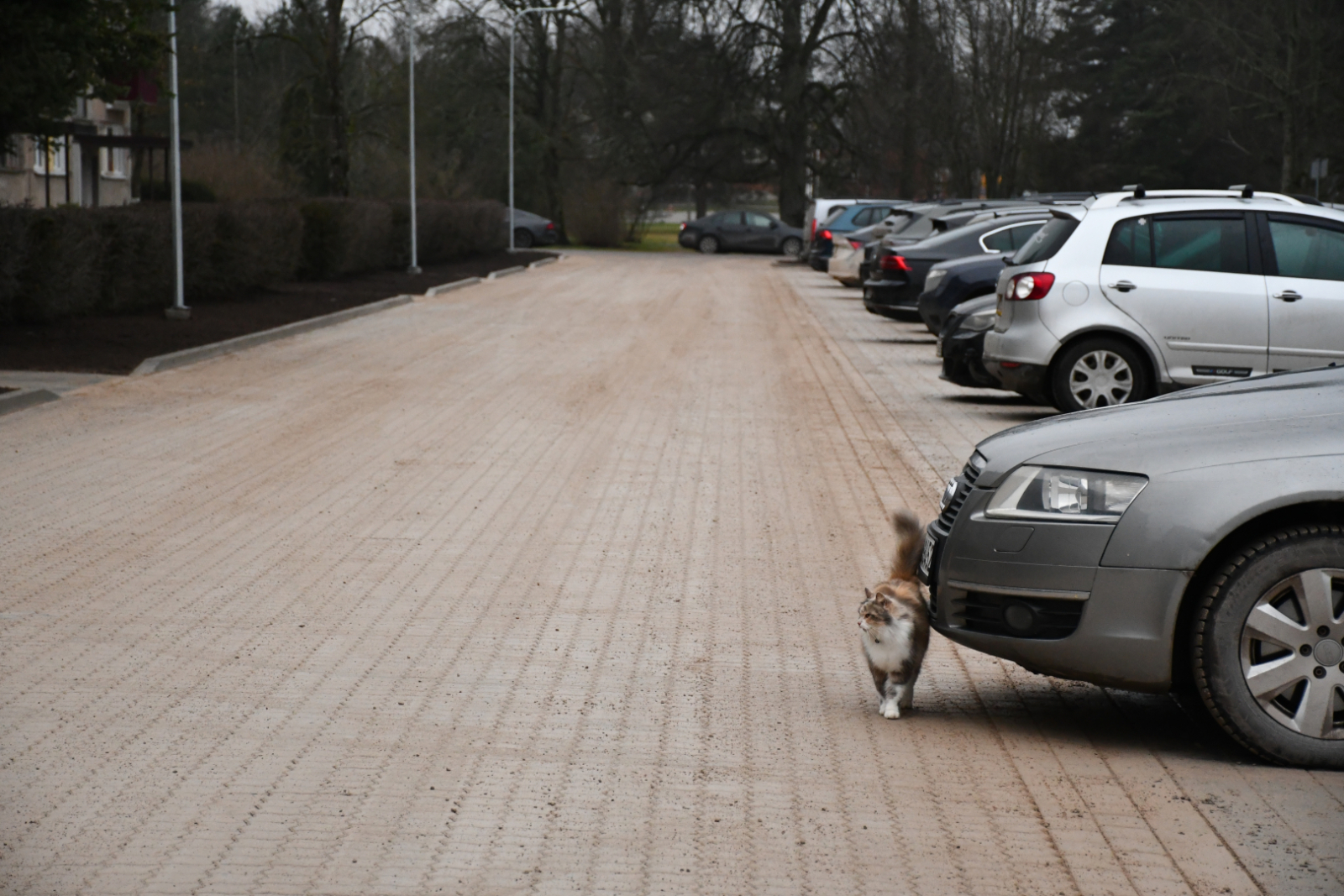 Atjaunoti ceļi Ugāle