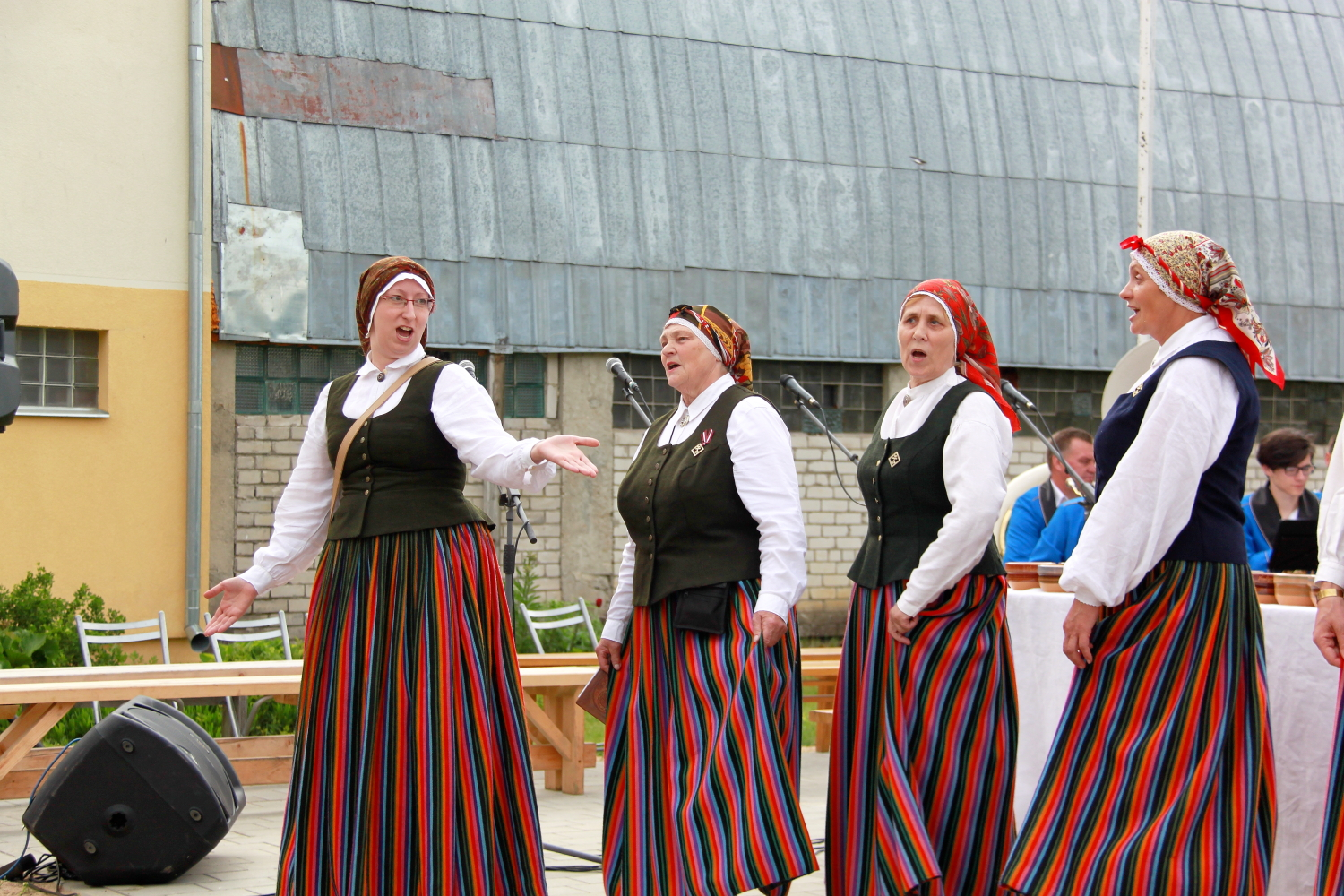 Dzied folkloras kopa