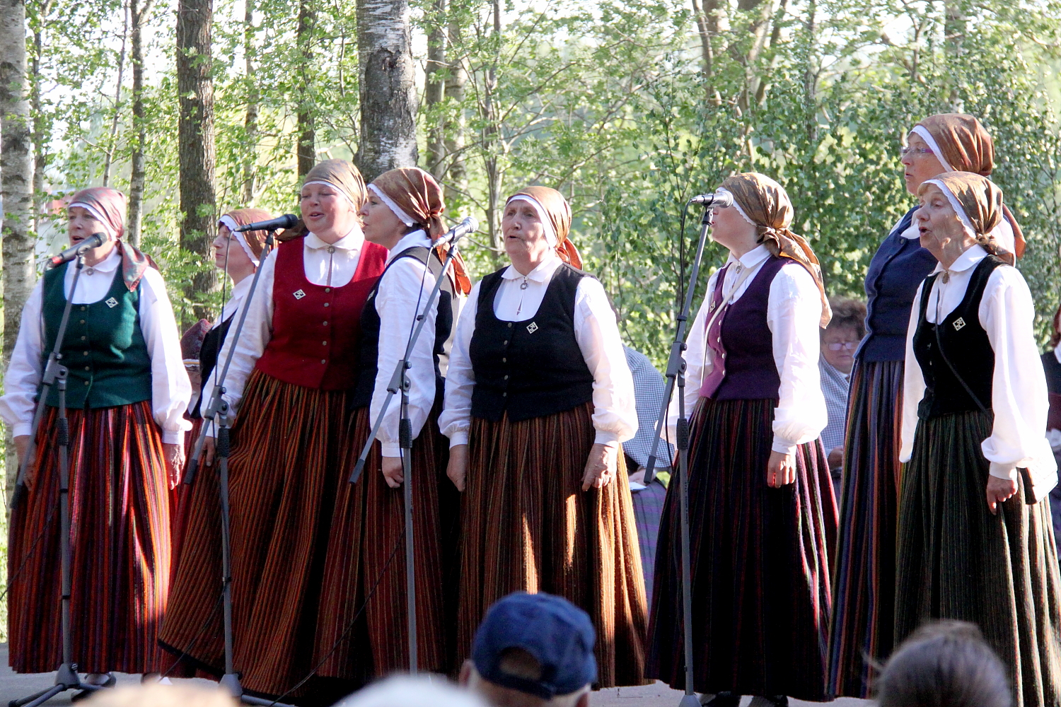 Dzied folkloras kopa