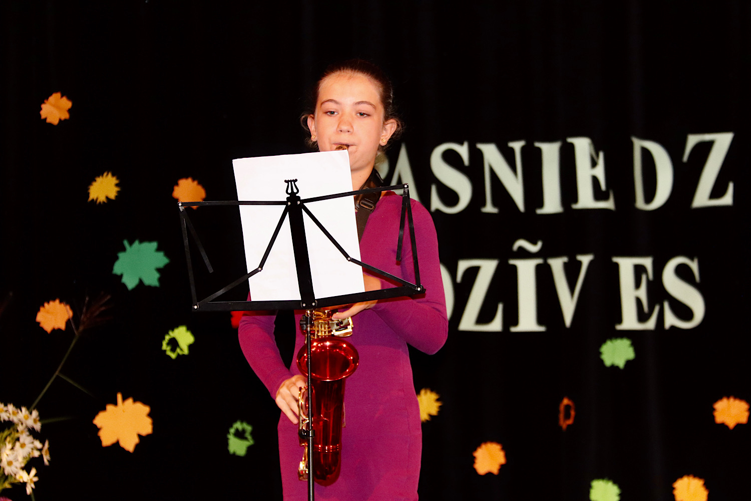 Muzikāls priekšnesums